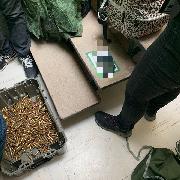 Comunicado FGR 303/21