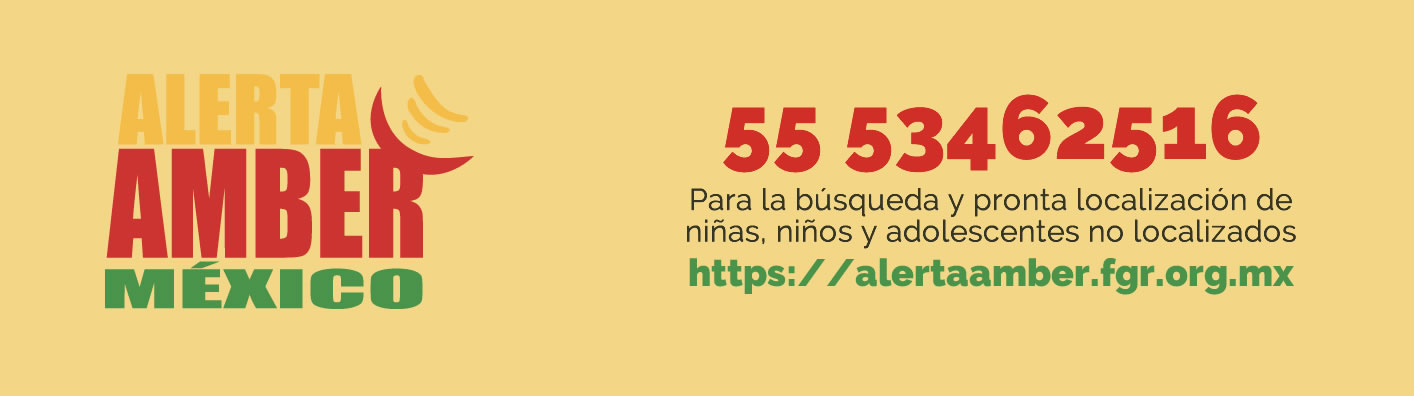 Go to AlertaAmber MX: https://alertaamber.fgr.org.mx